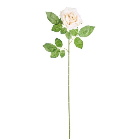 ROSA ELEONORE CREMA 75CM